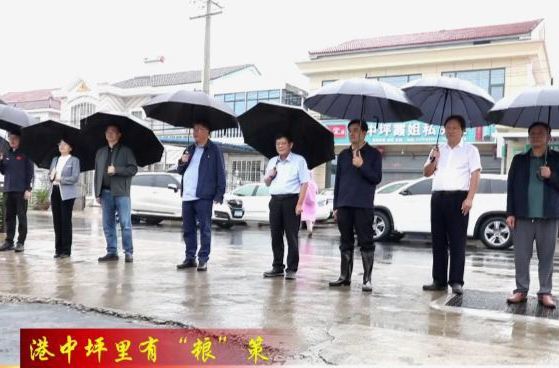 【港中坪里有“粮”策】鼎城：省级粮食生产万亩综合示范片晚稻实割测产亩产达627.1公斤