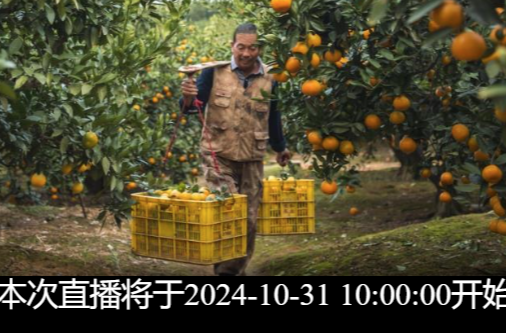 湖南常德：畅游石门橘园，看“小柑橘"如何撬动“大产业”
