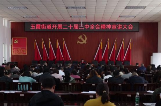 玉霞街道：学习贯彻党的二十届三中全会精神
