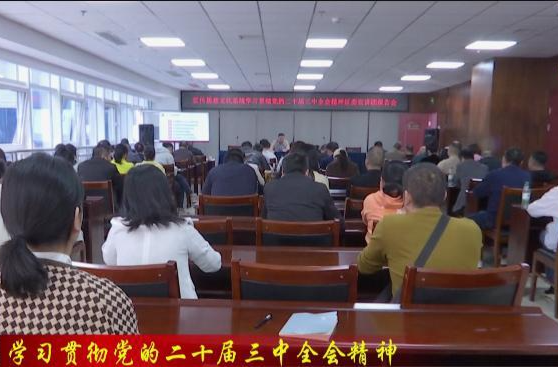 【学习贯彻党的二十届三中全会精神】鼎城区宣传思想文化系统：学习贯彻党的二十届三中全会精神