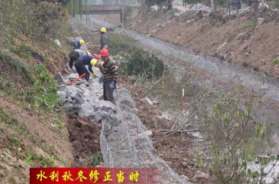 【水利秋冬修正当时】蒿子港镇：抢抓“黄金期” 冬修水利忙