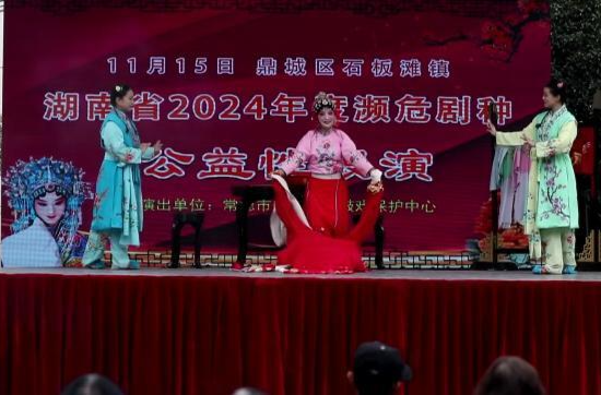 鼎城：送戏下乡惠民演出走进石板滩镇