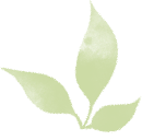 告别老寒腿——腰交感神经节射频消融术