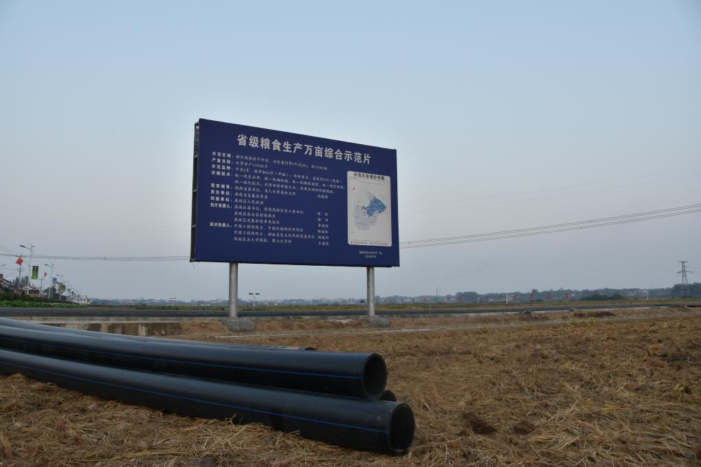 “小田改大田”带来新希望——湖南港中坪村高标准农田提质升级见闻
