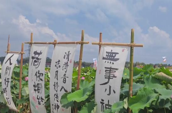 鼎城：港中坪村获评“省级五星级乡村旅游区（点）”