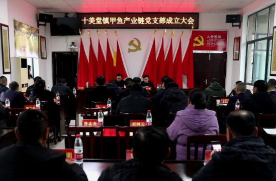 十美堂镇：甲鱼产业链党支部揭牌成立