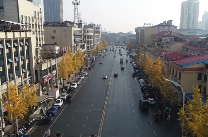 鼎城：冬日银杏   美景如画