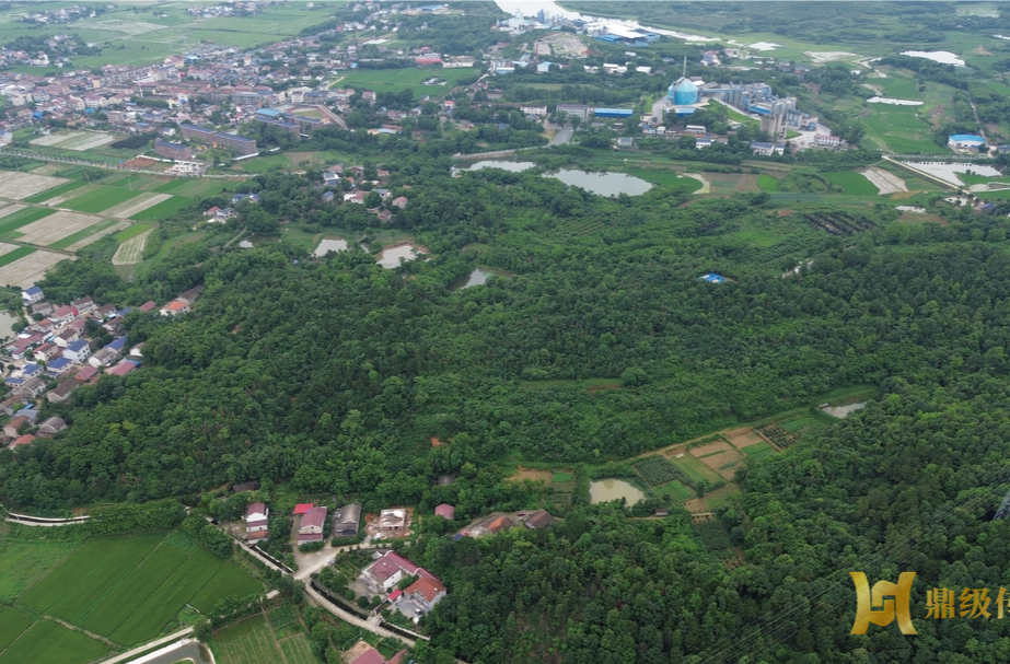 闲置资产处置 返乡创业首选丨蔡家岗镇延寿庵社区山林地