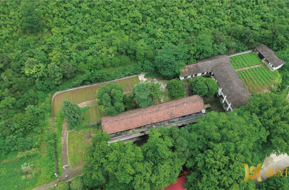 闲置资产处置 返乡创业首选丨蔡家岗镇原雷公庙敬老院