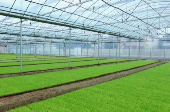 鼎城：夯实农业农村基础  筑牢农业强区根基