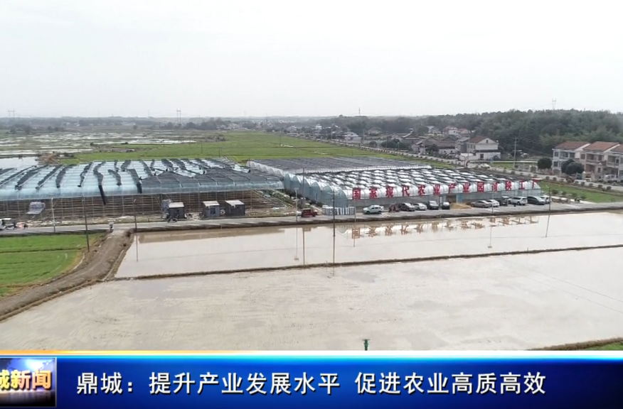 鼎城：提升产业发展水平 促进农业高质高效