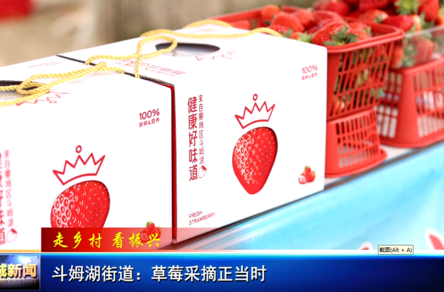 斗姆湖街道：草莓采摘正当时