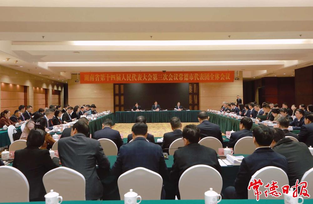 常德代表团集中审议省人大常委会工作报告
