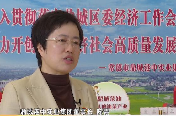 贯彻落实区委经济工作会议精神：勇挑创业大梁、打造活力鼎城