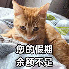 高峰时段如何顺利返程？请看——