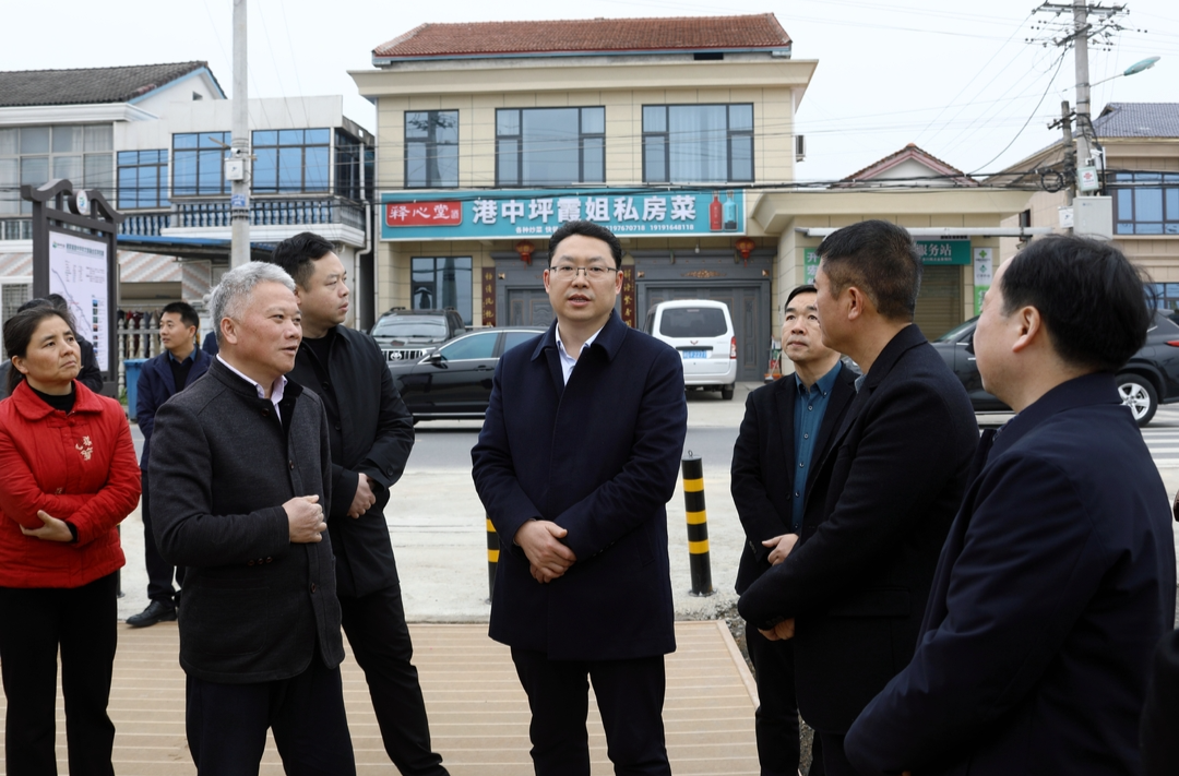 陈远督导乡村振兴和港中坪片区建设工作