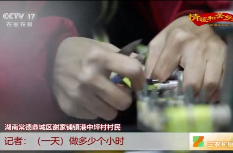 央视《三农长短说》推介｜湖南常德​：冬闲里的新希望