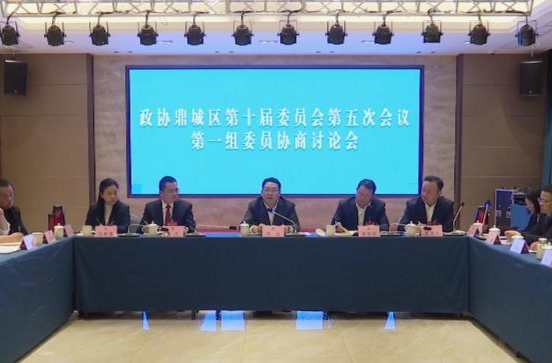 鼎城区政协委员分组协商讨论全区经济社会发展大事