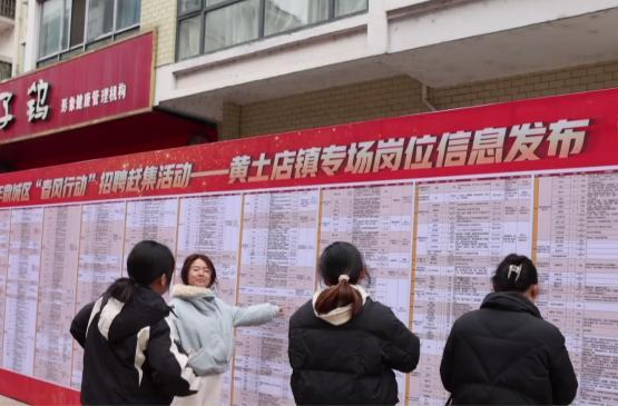 鼎城：新春赶大集 岗位送到家