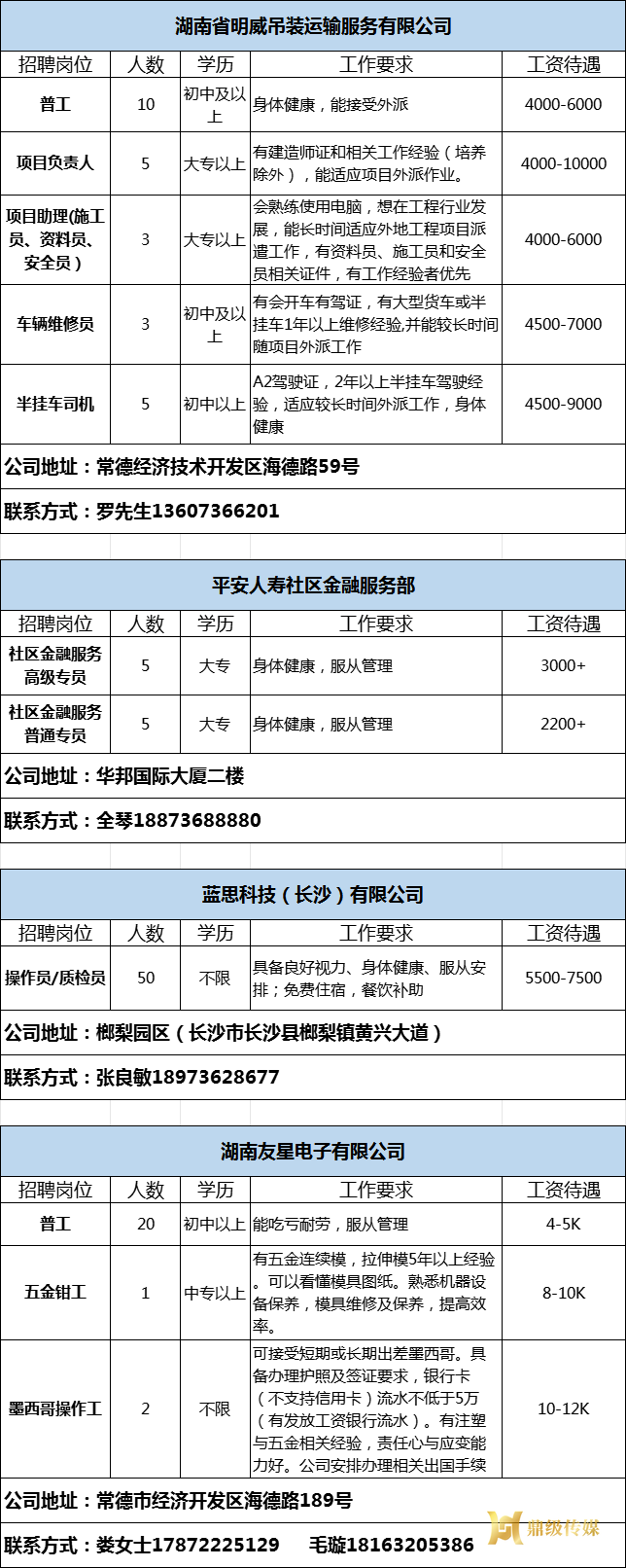 2025年鼎城区岗位惠民招聘信息第03期