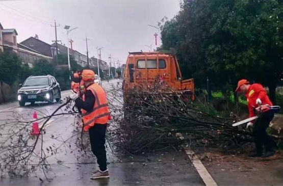 鼎城区公路建设养护中心：应对恶劣天气   清理倒伏树木