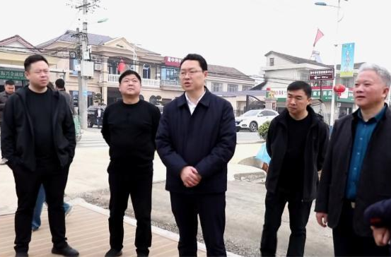 陈远督导港中坪片区建设和春耕生产工作