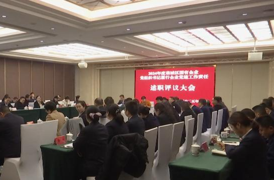 2024年度鼎城区国有企业党组织书记履行企业党建工作责任述职评议大会举行