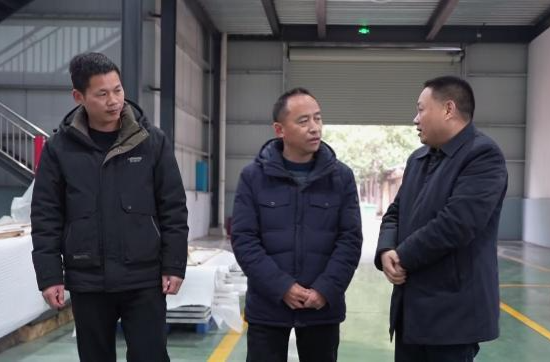 提案故事：以“政协之为”赋能桥南工业园“转型之机”
