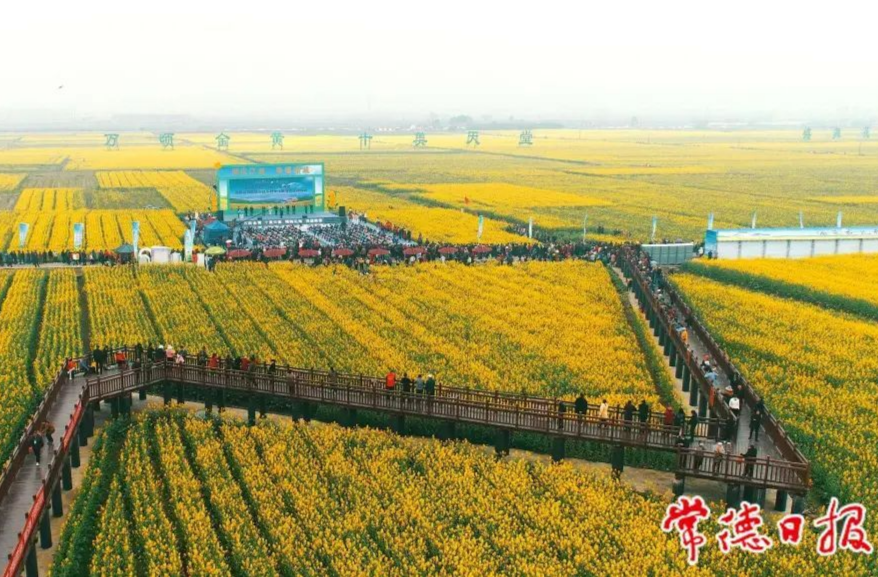 常德的花花都上央媒啦！邀您来共赏