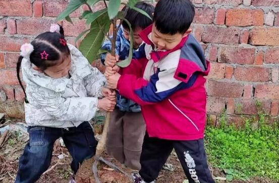 灌溪镇明星幼儿园：开展植树节活动