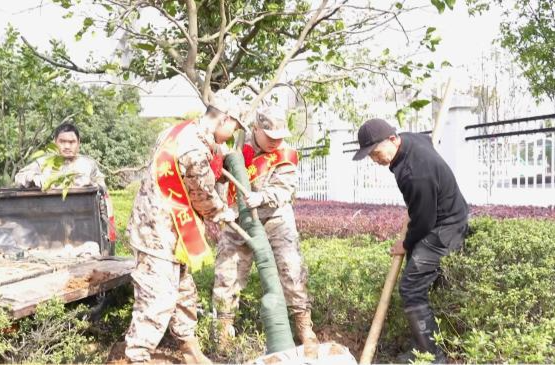 鼎城区人武部：开展“共植戎树 筑梦强军”主题植树活动