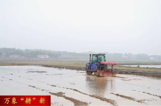 周家店镇：机械化育秧按下春耕生产“快进键”