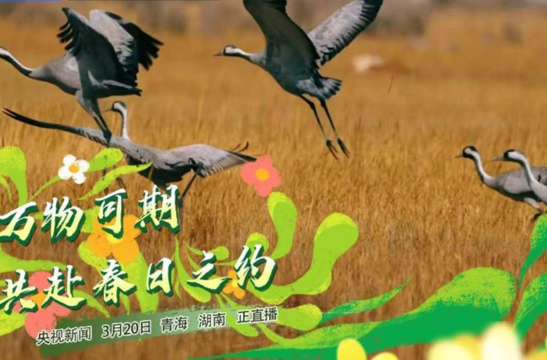 直播 | 万物可期 共赴春日之约