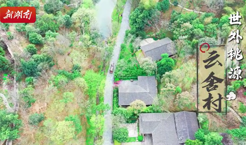 来云舍村，感受世外桃源的春意