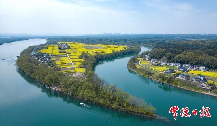 2025年桃花源文化旅游节即将启幕 欢迎五湖四海的朋友共赴桃花盛会