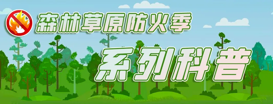 多人被拘，多地红色预警！事关清明假期