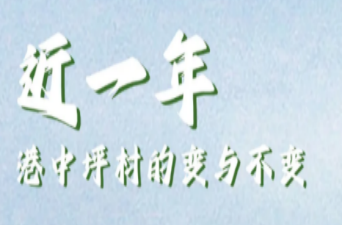 SVG海报丨时光流转看港中坪：寻找变与不变的答案
