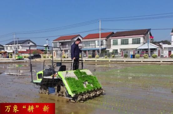 鼎城:数字“新农具” 耕出“智慧田”