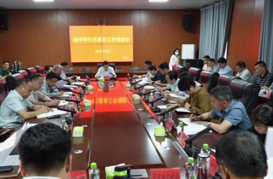 陈远专题调研港中坪片区建设工作