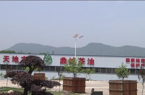 天地农耕：创新驱动   产品升级   助力茶油产业高质量发展