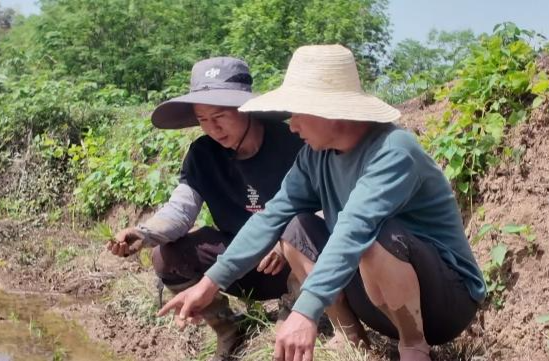 草坪镇：“80后”返乡青年挑起种粮“大梁”