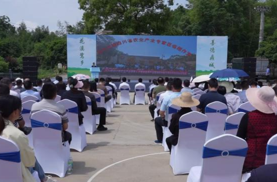 “花溪鹭乡·善德鼎城”2025鼎城区“乐享五一”文旅产品推介会举行