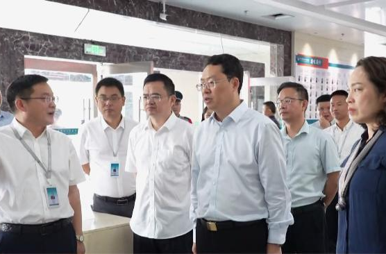陈远调研卫健工作并督导群众身边不正之风和腐败问题集中整治工作