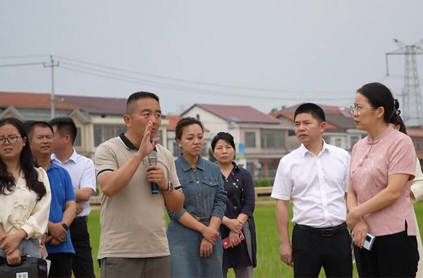 市政协领导来鼎城调研高标准农田建设工作
