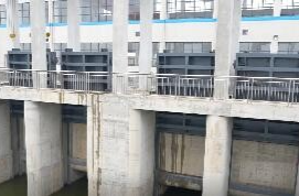 陈远调研生态环境保护和水利工程建设工作