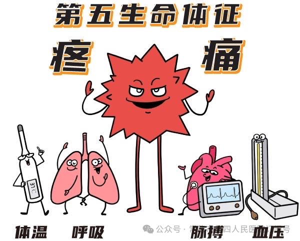 第五生命体征下的慢性疼痛全解析与家庭照护指南