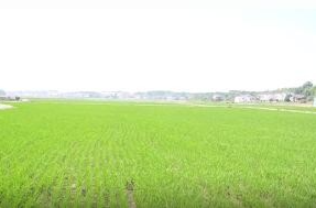 周家店镇：入选2025年“国家级农业产业强镇