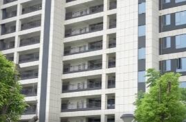 陈远督导保交楼和棚改安置工作
