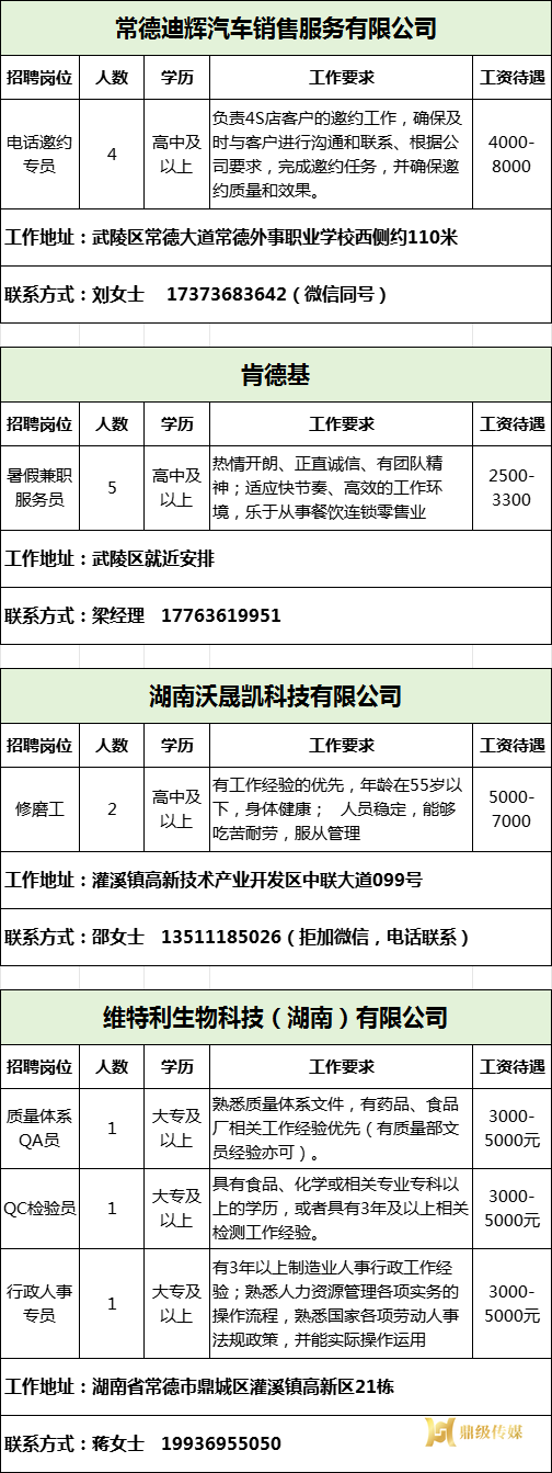 2025年鼎城区岗位惠民招聘信息第13期