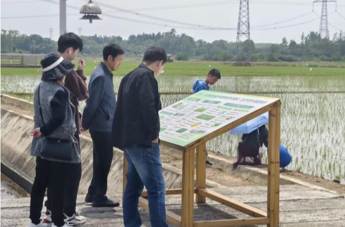 沿着总书记的足迹•打卡丨假期第一天是这样的→